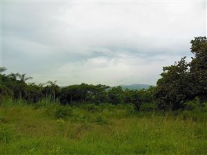 10 ha Farm in Hazyview