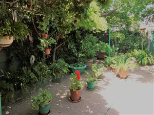 4 Bed House in Gordons Bay Central