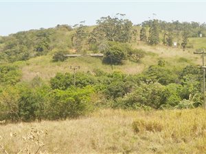 2 ha Farm in Shelly Beach