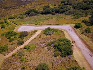 1087 m² Land available in Forest Downs