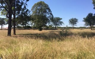 1298 m² Land available in Nirvana