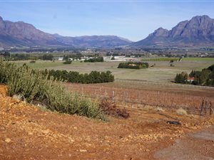 40 ha Farm in Franschhoek