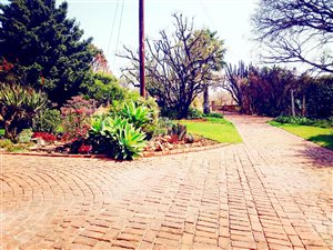 5 ha Farm in Strydfontein and surrounds