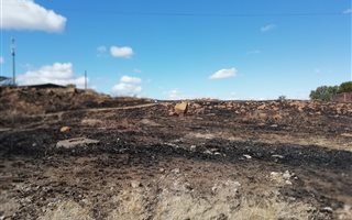 1597 m² Land available in Dannhauser