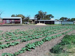 5 ha Farm in Warrenton