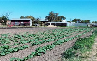 5 ha Farm in Warrenton