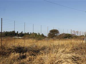 4 ha Farm in Bela-Bela (Warmbaths)