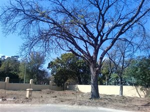 361 m² Land available in Phalaborwa