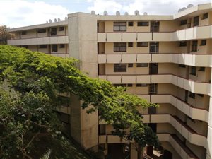 1 Bed Apartment in Paradise Valley
