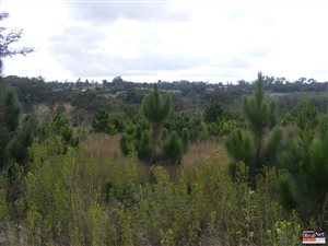 5 ha Farm in Rayton