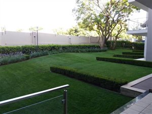1 Bed Apartment in Houghton Estate