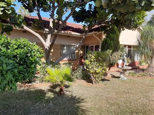3 Bed House in Oos-Einde