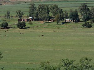 288 ha Farm in Magaliesburg