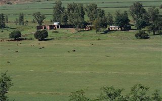288 ha Farm in Magaliesburg