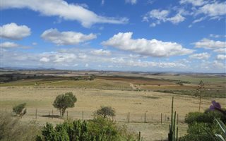 240 ha Farm in Paarl