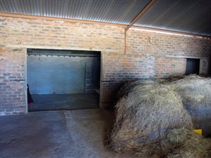 17 ha Farm in Bainsvlei
