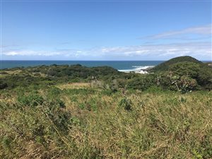 1377 m² Land available in Port Edward