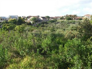 716 m² Land available in Jeffreys Bay