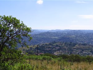 1162 m² Land available in Nagina