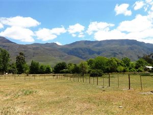 1189 m² Land available in Greyton