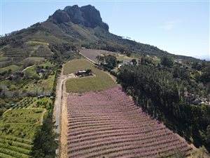 11 ha Farm in Banhoek