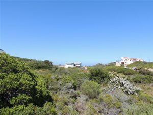 1317 m² Land available in Rooi Els