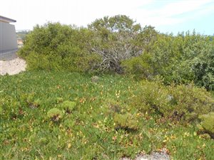 425 m² Land available in Moquini Coastal Estate