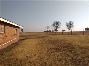 22 ha Farm in Knopjeslaagte
