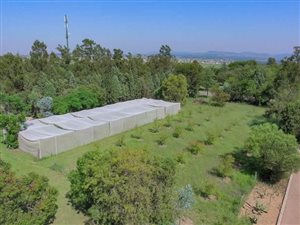 2 ha Farm in Mnandi AH