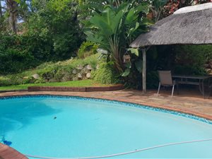 3 Bed House in Bluff