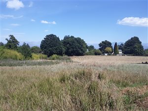 2030 m² Land available in Underberg