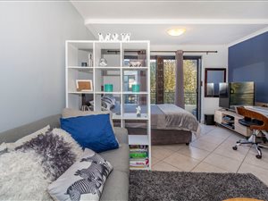 1 Bed Flat in Somerset West Central