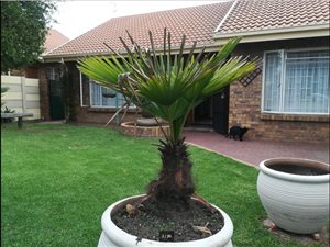 3 Bed House in Visagie Park