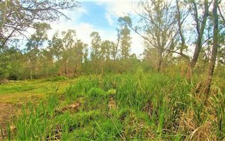 4.3 ha Land available in Greenbushes