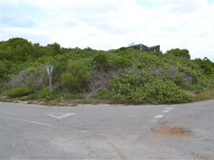741 m² Land available in Cape St Francis
