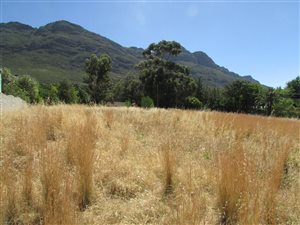 895 m² Land available in Riebeek Kasteel