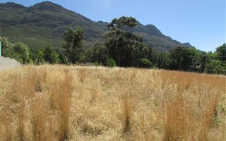 895 m² Land available in Riebeek Kasteel