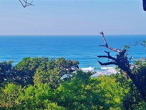 1588 m² Land available in Woodgrange
