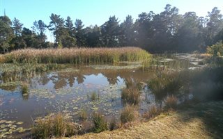 508 m² Land available in Harkerville