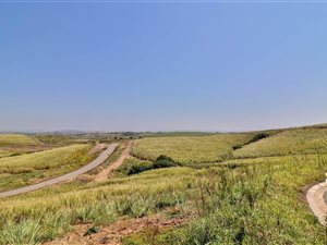 5456 m² Land available in Palm Lakes Estate