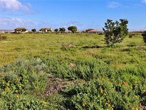 675 m² Land available in Langebaan Country Estate