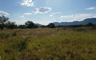 1225 m² Land available in La Camargue