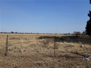 4 ha Farm in Houtkop AH