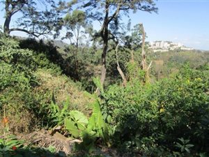 3494 m² Land available in Cowies Hill