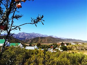 1059 m² Land available in De Rust