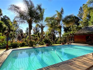 21 Bed House in Glen Austin