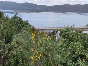 1333 m² Land available in Knysna Heights