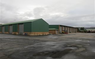 13111 m² Industrial space in Heidelberg Central
