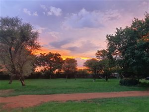 200 ha Farm in Groot Marico