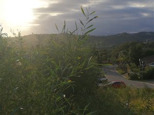 861 m² Land available in Knysna Heights